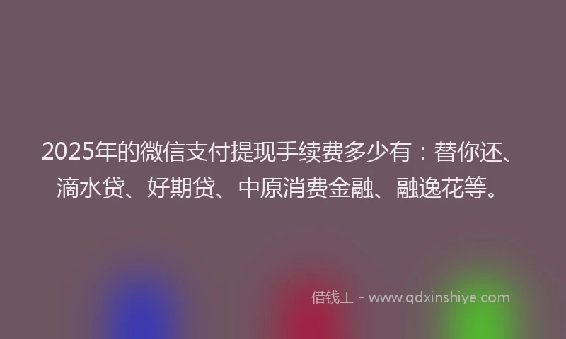 2025年的微信支付提现手续费多少有：替你还、滴水贷、好期贷、中原消费金融、融逸花等。
