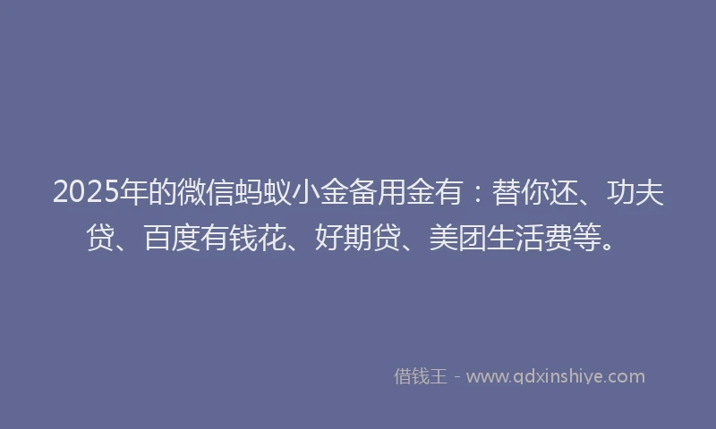 2025年的微信蚂蚁小金备用金有：替你还、功夫贷、百度有钱花、好期贷、美团生活费等。