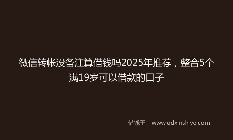 微信转帐没备注算借钱吗2025年推荐，整合5个满19岁可以借款的口子