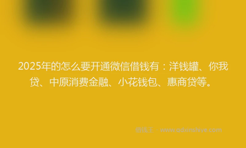 2025年的怎么要开通微信借钱有：洋钱罐、你我贷、中原消费金融、小花钱包、惠商贷等。