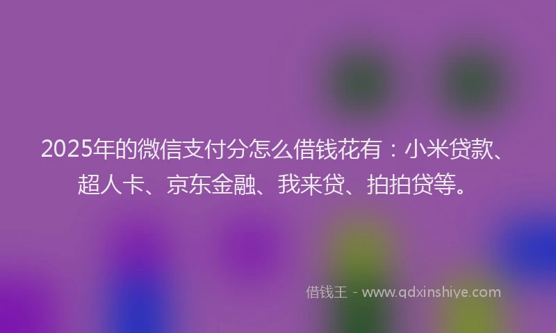 2025年的微信支付分怎么借钱花有：小米贷款、超人卡、京东金融、我来贷、拍拍贷等。