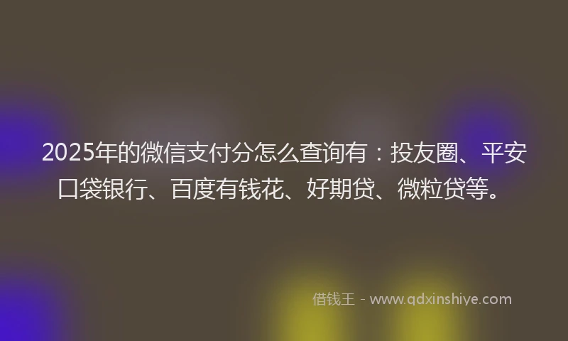 2025年的微信支付分怎么查询有：投友圈、平安口袋银行、百度有钱花、好期贷、微粒贷等。