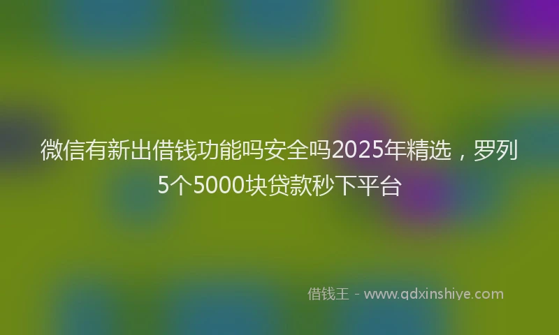 微信有新出借钱功能吗安全吗2025年精选，罗列5个5000块贷款秒下平台
