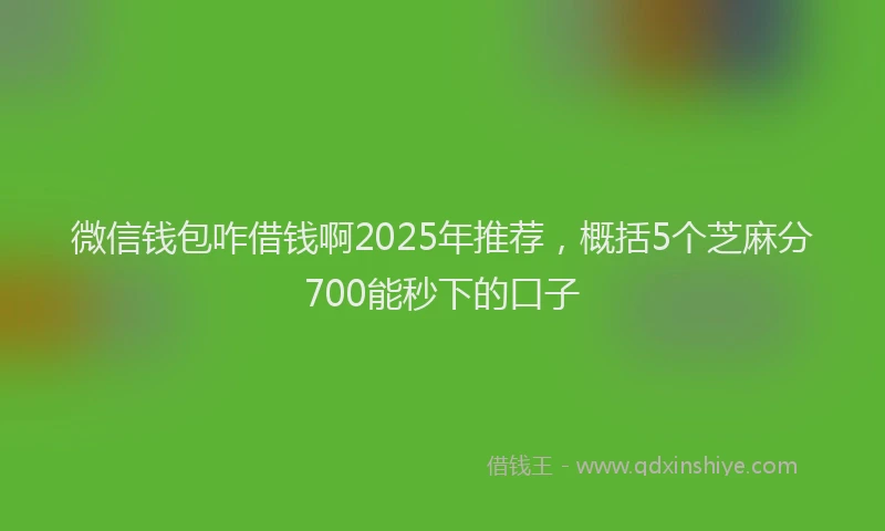 微信钱包咋借钱啊2025年推荐，概括5个芝麻分700能秒下的口子