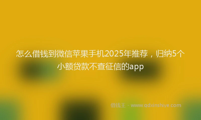 怎么借钱到微信苹果手机2025年推荐，归纳5个小额贷款不查征信的app