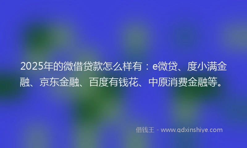 2025年的微借贷款怎么样有：e微贷、度小满金融、京东金融、百度有钱花、中原消费金融等。