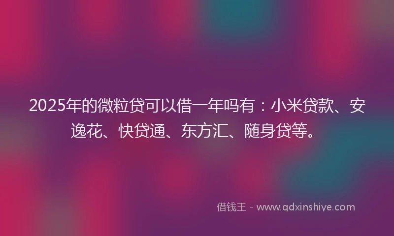 2025年的微粒贷可以借一年吗有：小米贷款、安逸花、快贷通、东方汇、随身贷等。