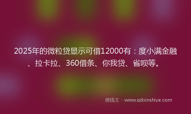 2025年的微粒贷显示可借12000有：度小满金融、拉卡拉、360借条、你我贷、省呗等。