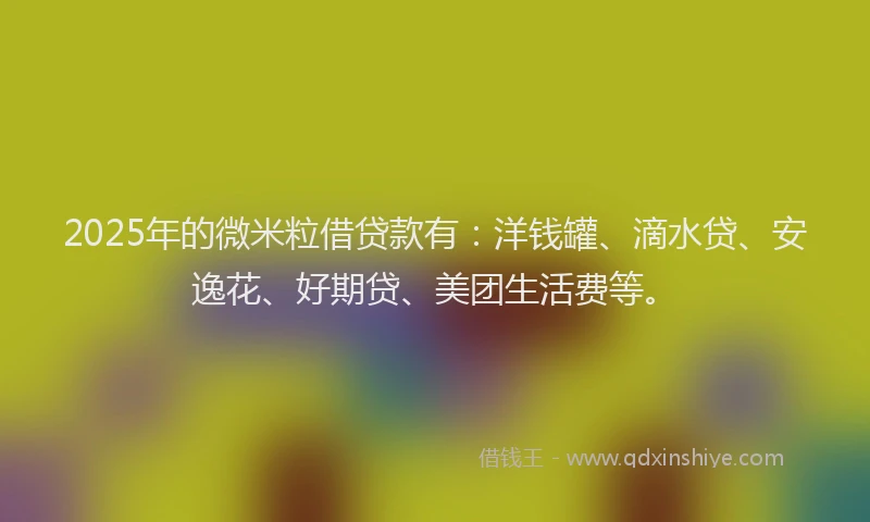 2025年的微米粒借贷款有：洋钱罐、滴水贷、安逸花、好期贷、美团生活费等。