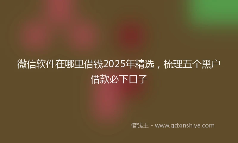 微信软件在哪里借钱2025年精选，梳理五个黑户借款必下口子