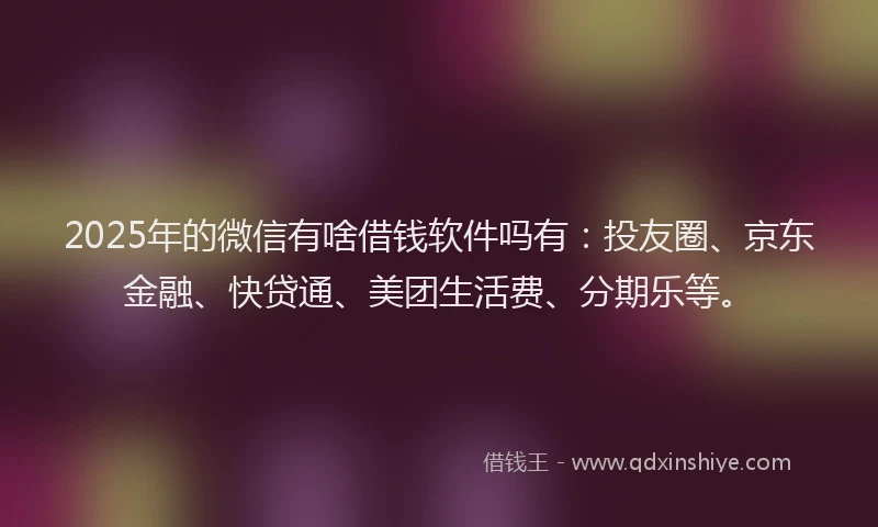 2025年的微信有啥借钱软件吗有：投友圈、京东金融、快贷通、美团生活费、分期乐等。