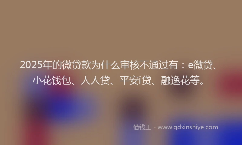 2025年的微贷款为什么审核不通过有：e微贷、小花钱包、人人贷、平安i贷、融逸花等。