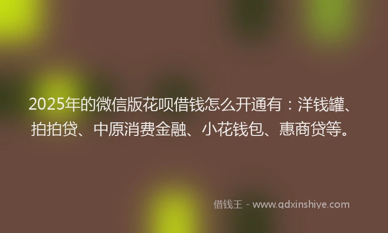 2025年的微信版花呗借钱怎么开通有：洋钱罐、拍拍贷、中原消费金融、小花钱包、惠商贷等。