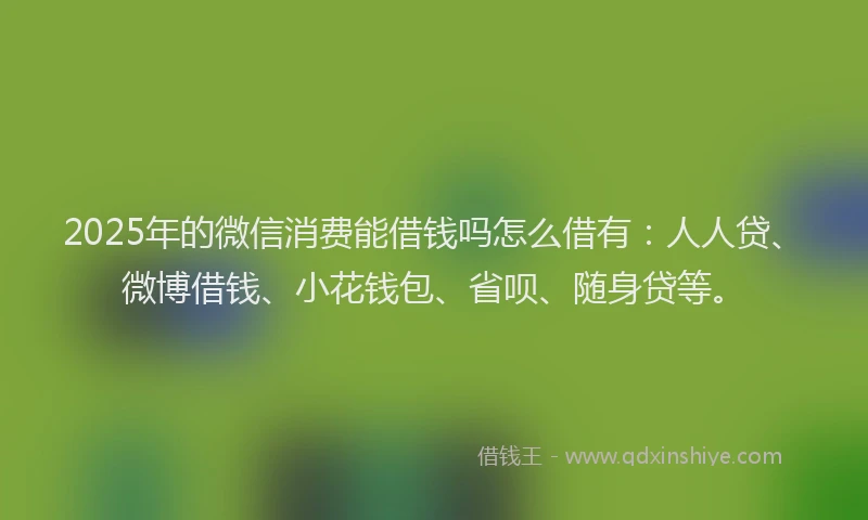 2025年的微信消费能借钱吗怎么借有：人人贷、微博借钱、小花钱包、省呗、随身贷等。