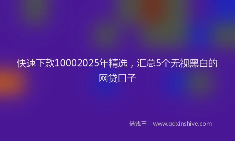 快速下款10002025年精选，汇总5个无视黑白的网贷口子