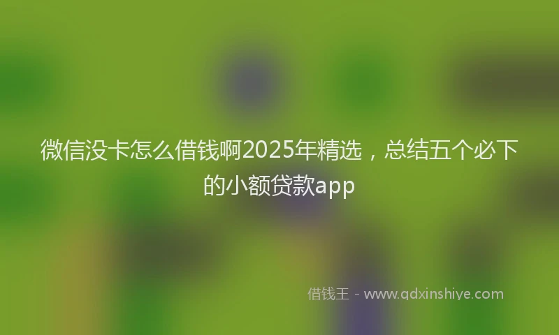 微信没卡怎么借钱啊2025年精选，总结五个必下的小额贷款app