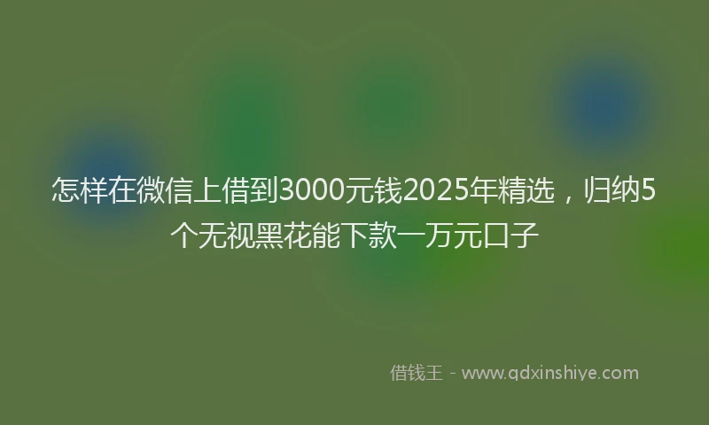 怎样在微信上借到3000元钱2025年精选，归纳5个无视黑花能下款一万元口子