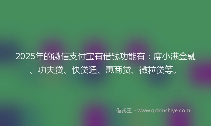 2025年的微信支付宝有借钱功能有：度小满金融、功夫贷、快贷通、惠商贷、微粒贷等。