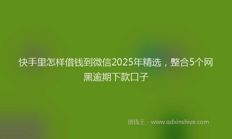 快手里怎样借钱到微信2025年精选，整合5个网黑逾期下款口子