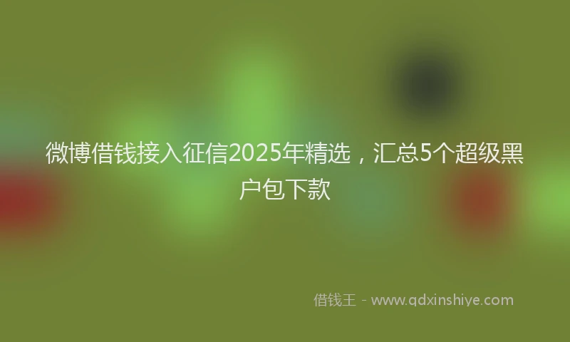 微博借钱接入征信2025年精选，汇总5个超级黑户包下款
