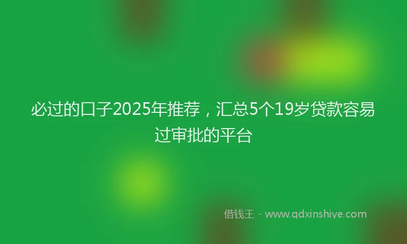 必过的口子2025年推荐，汇总5个19岁贷款容易过审批的平台