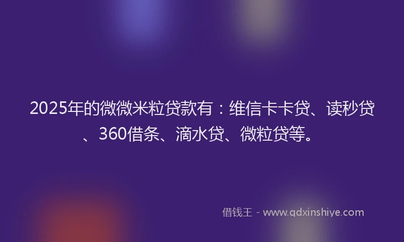 2025年的微微米粒贷款有：维信卡卡贷、读秒贷、360借条、滴水贷、微粒贷等。