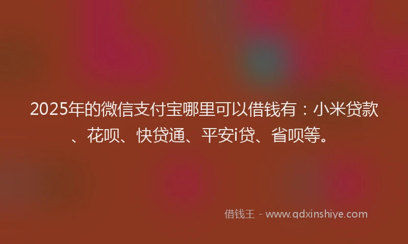 2025年的微信支付宝哪里可以借钱有：小米贷款、花呗、快贷通、平安i贷、省呗等。