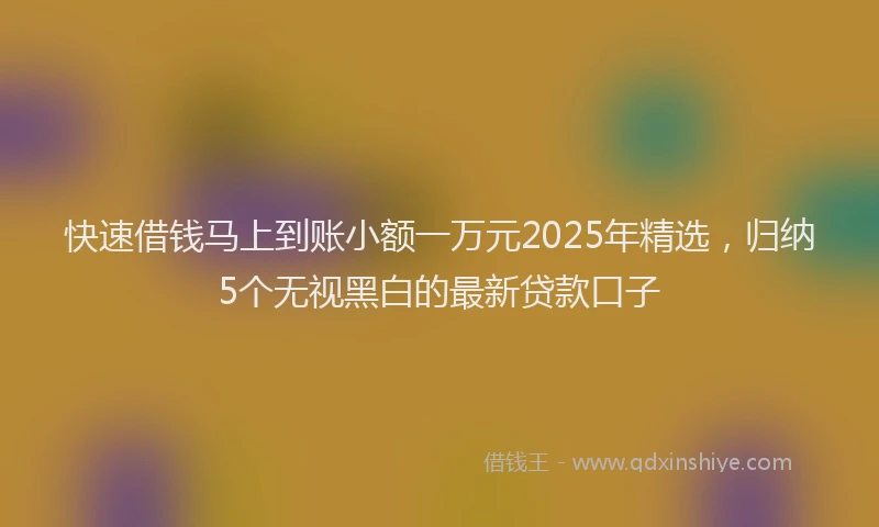 快速借钱马上到账小额一万元2025年精选，归纳5个无视黑白的最新贷款口子