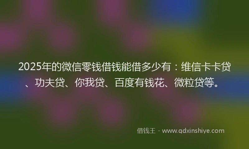 2025年的微信零钱借钱能借多少有：维信卡卡贷、功夫贷、你我贷、百度有钱花、微粒贷等。