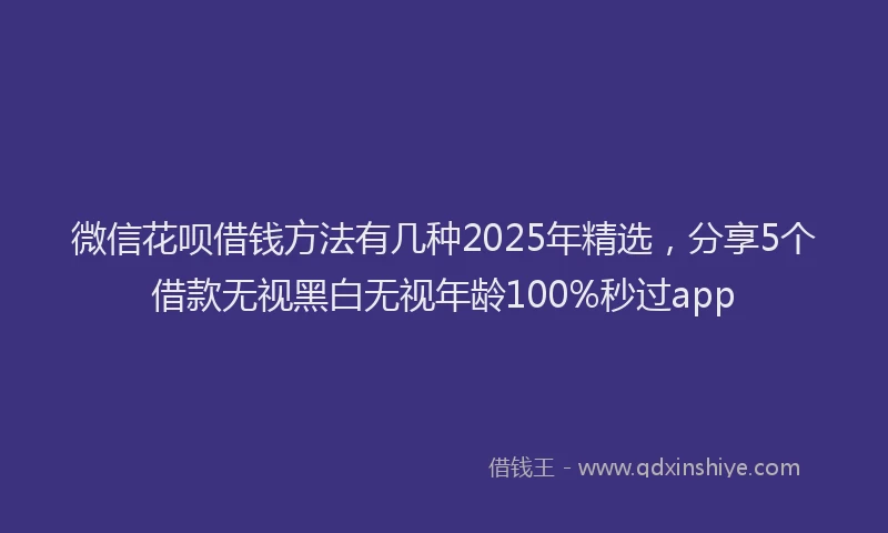 微信花呗借钱方法有几种2025年精选，分享5个借款无视黑白无视年龄100%秒过app