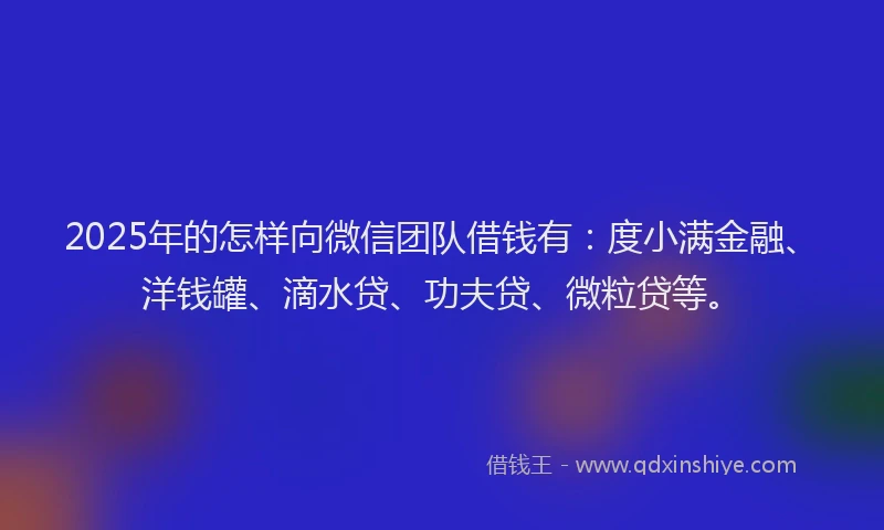 2025年的怎样向微信团队借钱有：度小满金融、洋钱罐、滴水贷、功夫贷、微粒贷等。