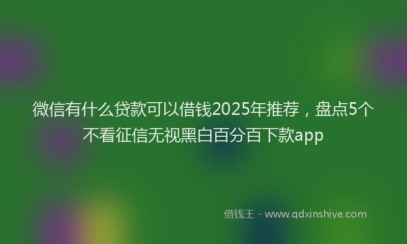 微信有什么贷款可以借钱2025年推荐，盘点5个不看征信无视黑白百分百下款app