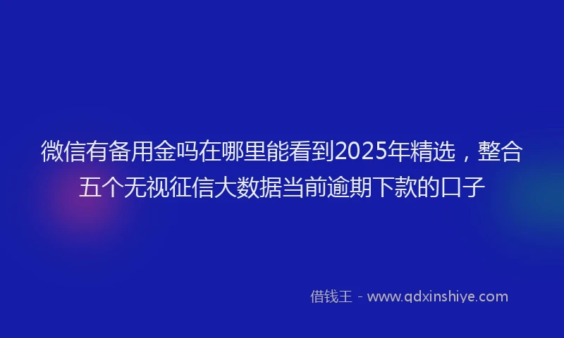 微信有备用金吗在哪里能看到2025年精选，整合五个无视征信大数据当前逾期下款的口子