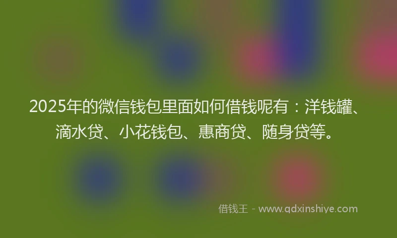 2025年的微信钱包里面如何借钱呢有：洋钱罐、滴水贷、小花钱包、惠商贷、随身贷等。
