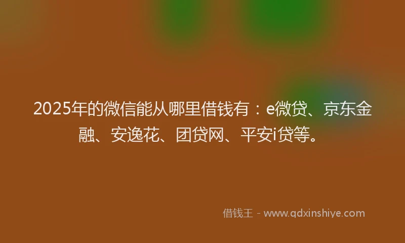 2025年的微信能从哪里借钱有：e微贷、京东金融、安逸花、团贷网、平安i贷等。