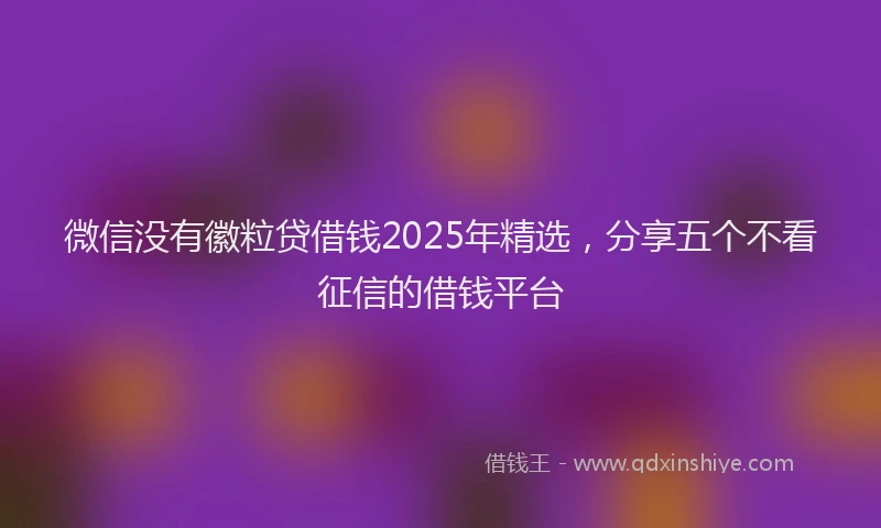 微信没有徽粒贷借钱2025年精选，分享五个不看征信的借钱平台