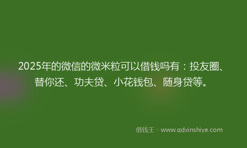 2025年的微信的微米粒可以借钱吗有：投友圈、替你还、功夫贷、小花钱包、随身贷等。