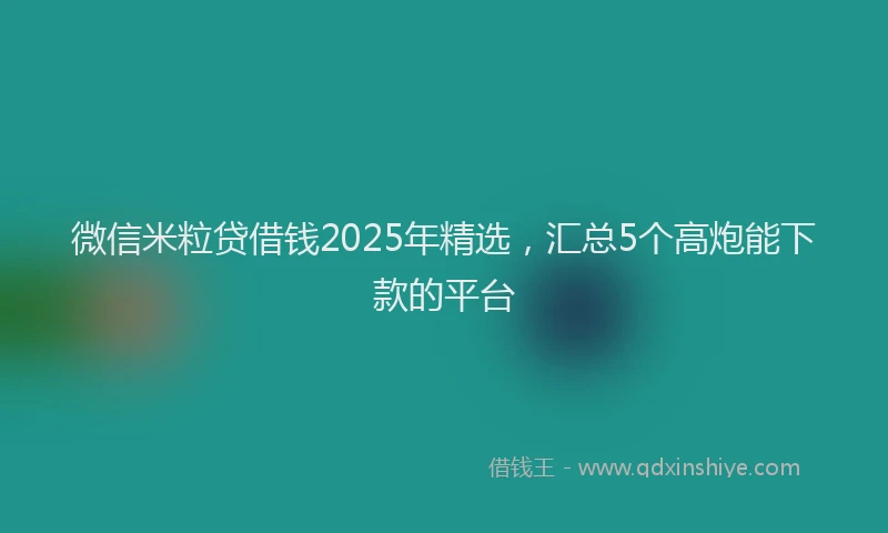 微信米粒贷借钱2025年精选，汇总5个高炮能下款的平台