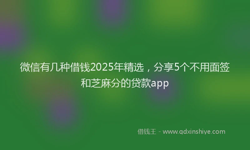 微信有几种借钱2025年精选，分享5个不用面签和芝麻分的贷款app
