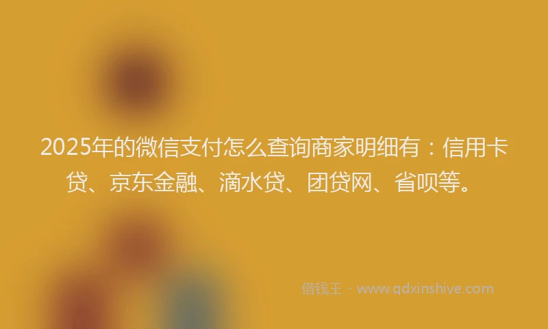 2025年的微信支付怎么查询商家明细有：信用卡贷、京东金融、滴水贷、团贷网、省呗等。