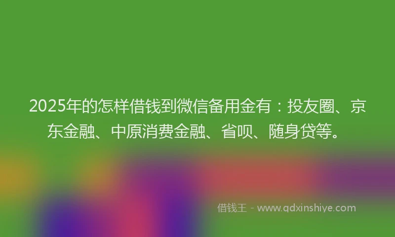 2025年的怎样借钱到微信备用金有：投友圈、京东金融、中原消费金融、省呗、随身贷等。