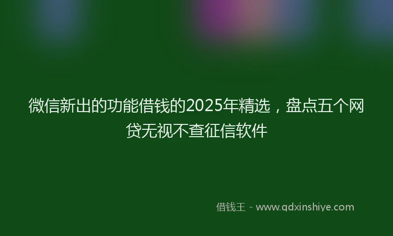 微信新出的功能借钱的2025年精选，盘点五个网贷无视不查征信软件