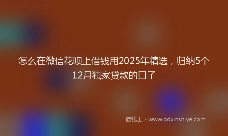 怎么在微信花呗上借钱用2025年精选，归纳5个12月独家贷款的口子