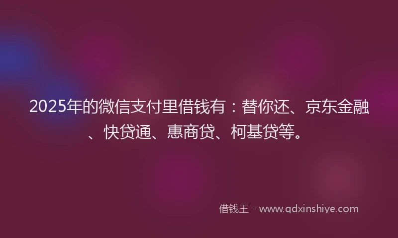 2025年的微信支付里借钱有：替你还、京东金融、快贷通、惠商贷、柯基贷等。