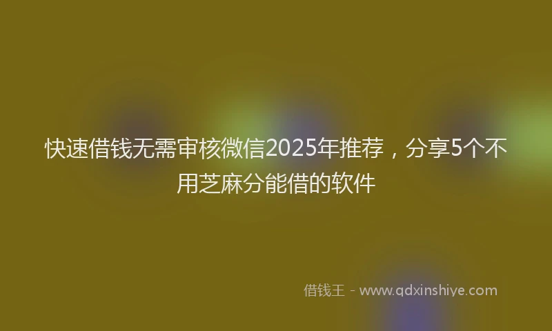 快速借钱无需审核微信2025年推荐，分享5个不用芝麻分能借的软件