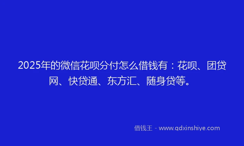 2025年的微信花呗分付怎么借钱有：花呗、团贷网、快贷通、东方汇、随身贷等。