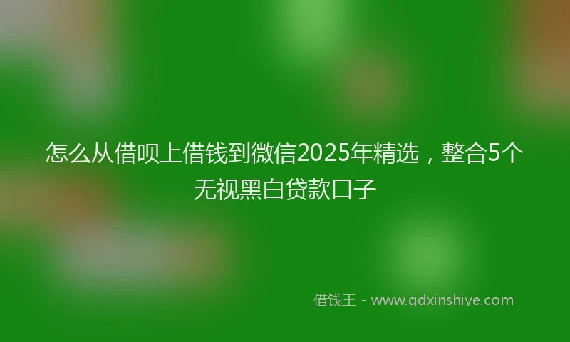 怎么从借呗上借钱到微信2025年精选，整合5个无视黑白贷款口子