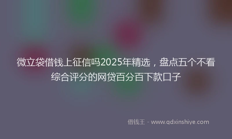 微立袋借钱上征信吗2025年精选，盘点五个不看综合评分的网贷百分百下款口子