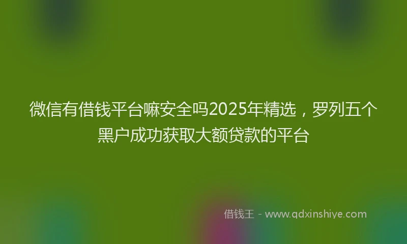 微信有借钱平台嘛安全吗2025年精选，罗列五个黑户成功获取大额贷款的平台