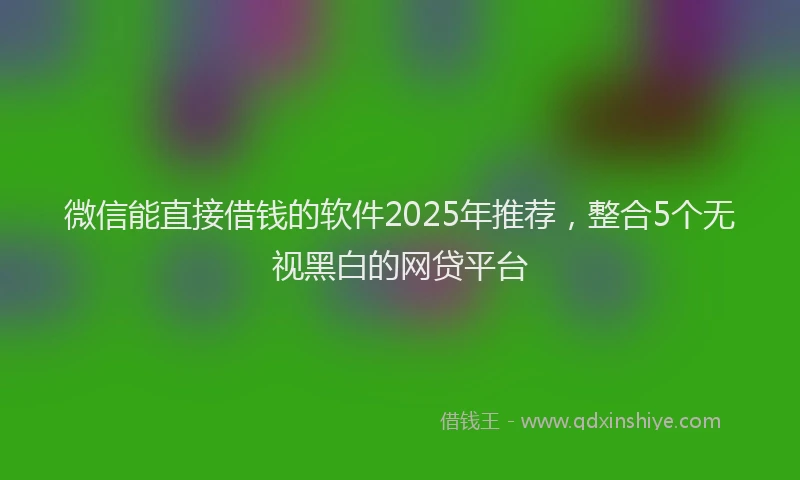 微信能直接借钱的软件2025年推荐，整合5个无视黑白的网贷平台